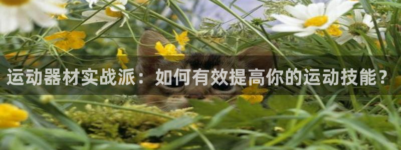 678体育官网下载招商：运动器材实战派：如何有效提高你的运动