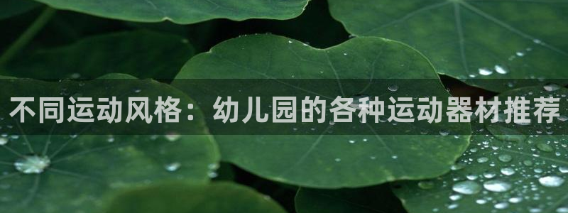 678体育官方正版app新能源：不同运动风格：幼儿园的各种运