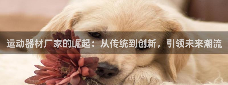678体育官方正版app集团logo：运动器材厂家的