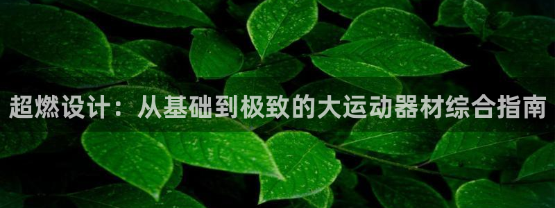 678体育官方正版app集团官网首页网址：超燃设计：
