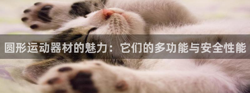 678体育官网下载平台假的吗是真的吗：圆形运动器材的