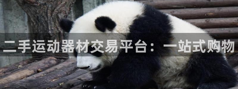 678体育官网下载平台注册流程视频：二手运动器材交易平台：一