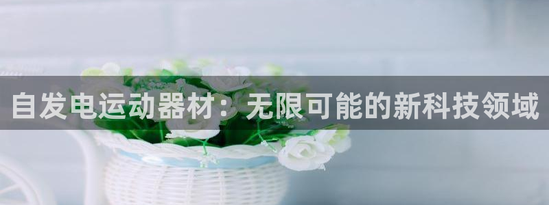 678体育官方正版app娱乐下载：自发电运动器材：无