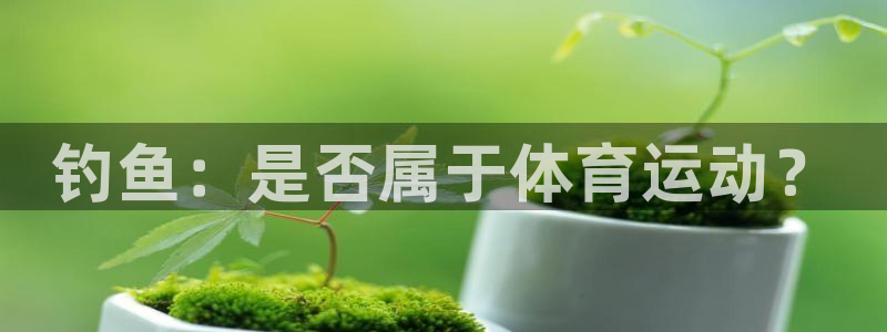 三亿体育登录：钓鱼：是否属于体育运动？