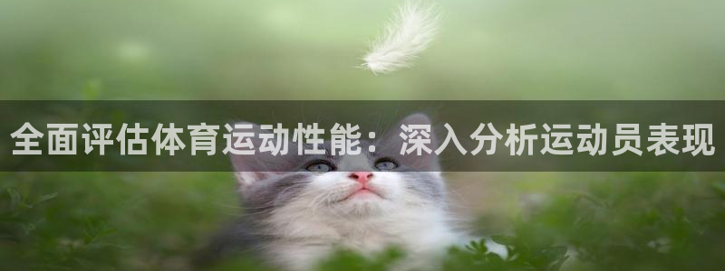 三亿体育登录：全面评估体育运动性能：深入分析运动员表现