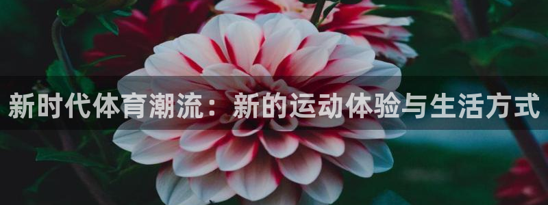 三亿体育网页版：新时代体育潮流：新的运动体验与生活方式