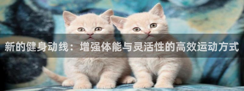 三亿体育：新的健身动线：增强体能与灵活性的高效运动方式