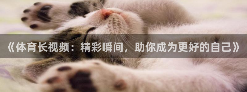 三亿体育：《体育长视频：精彩瞬间，助你成为更好的自己》