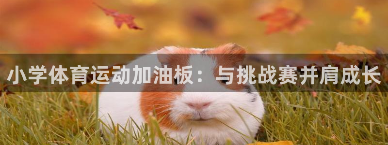 三亿体育网页版：小学体育运动加油板：与挑战赛并肩成长