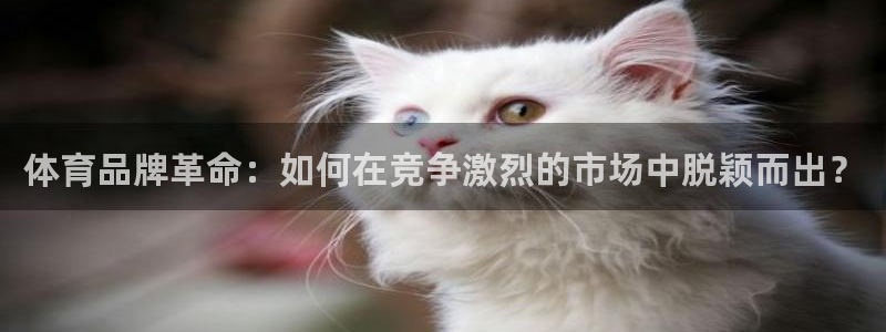 三亿体育登录：体育品牌革命：如何在竞争激烈的市场中脱颖而出？