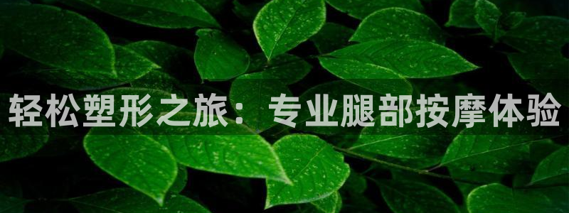 三亿体育网页版：轻松塑形之旅：专业腿部按摩体验