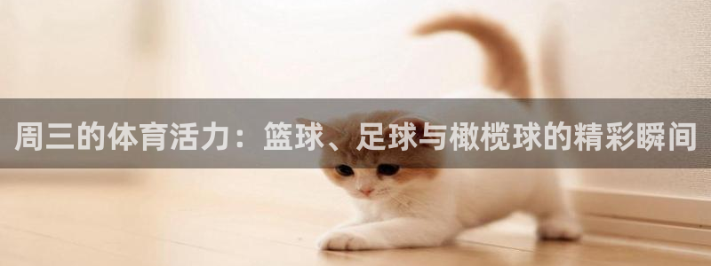 三亿体育登录：周三的体育活力：篮球、足球与橄榄球的精彩瞬间
