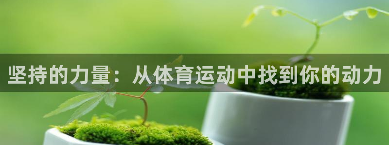 三亿体育网页版：坚持的力量：从体育运动中找到你的动力