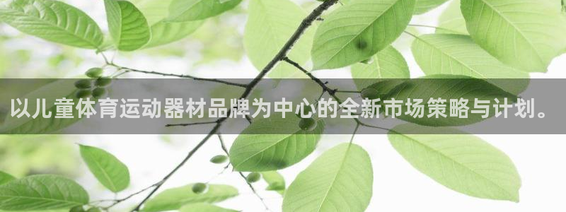 三亿体育登录：以儿童体育运动器材品牌为中心的全新市场策略与计划。