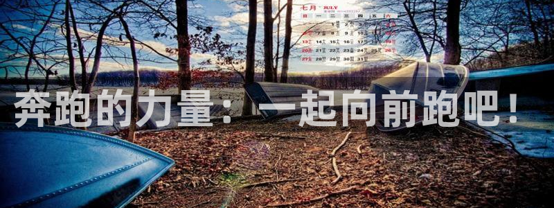 三亿体育网：奔跑的力量：一起向前跑吧！