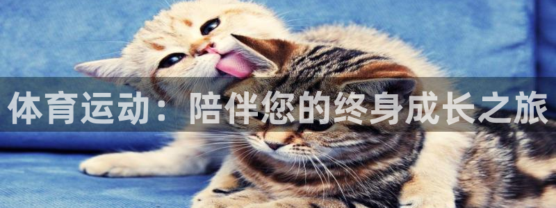 三亿体育：体育运动：陪伴您的终身成长之旅
